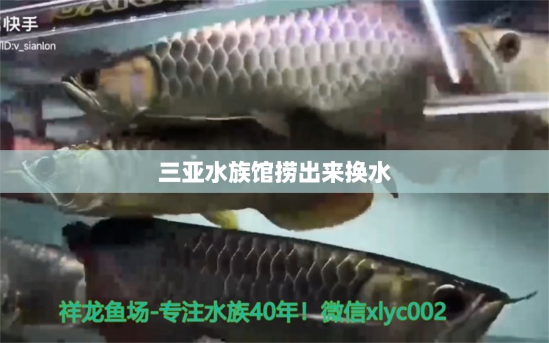 三亚水族馆捞出来换水