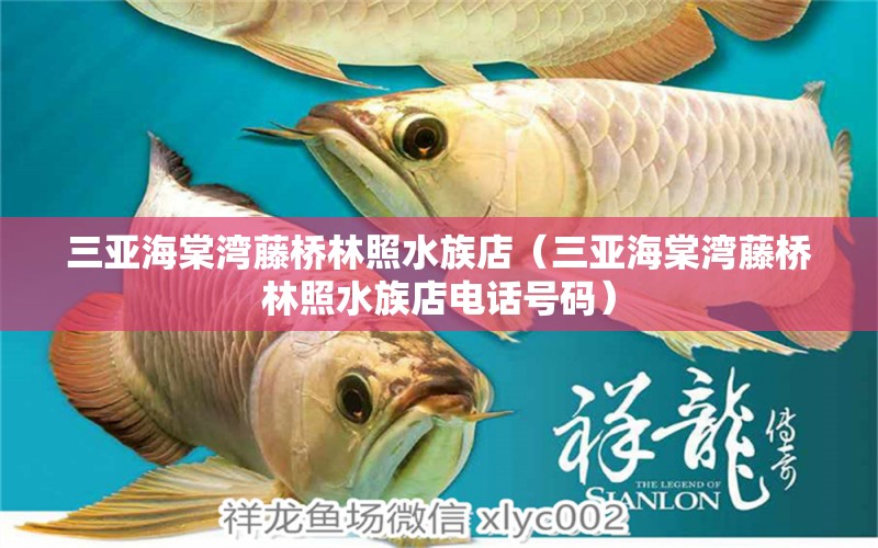 三亚海棠湾藤桥林照水族店（三亚海棠湾藤桥林照水族店电话号码） 全国水族馆企业名录