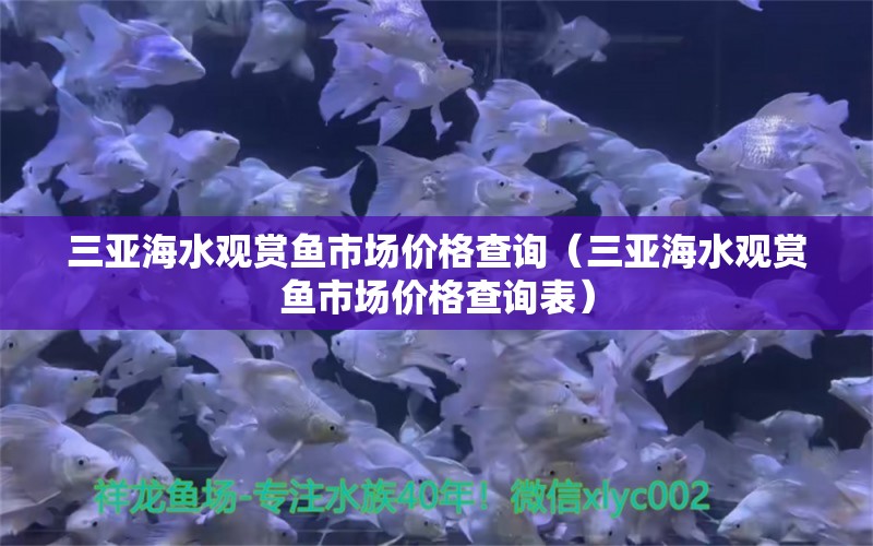 三亚海水观赏鱼市场价格查询（三亚海水观赏鱼市场价格查询表）