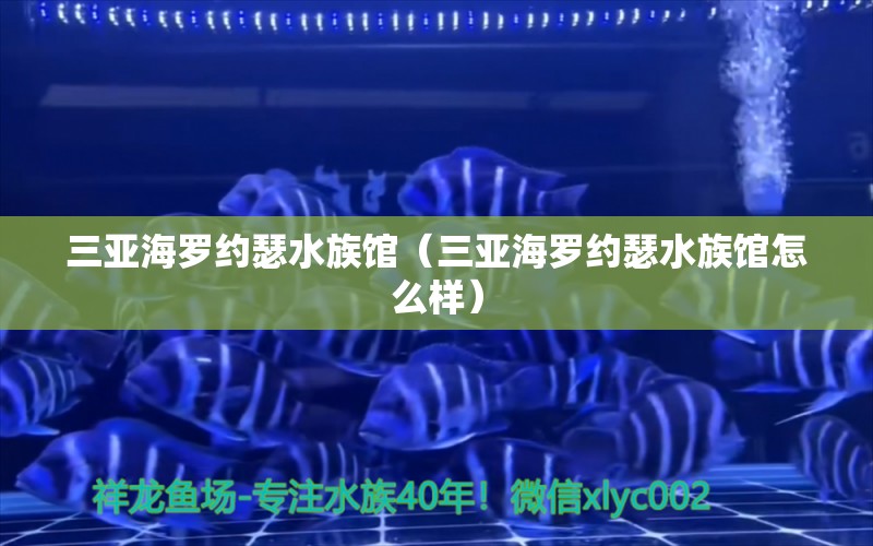 三亚海罗约瑟水族馆（三亚海罗约瑟水族馆怎么样）