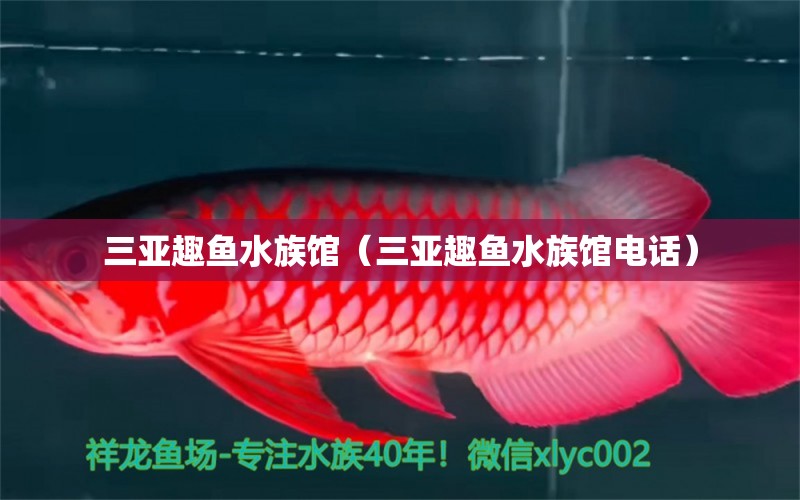 三亚趣鱼水族馆（三亚趣鱼水族馆电话）