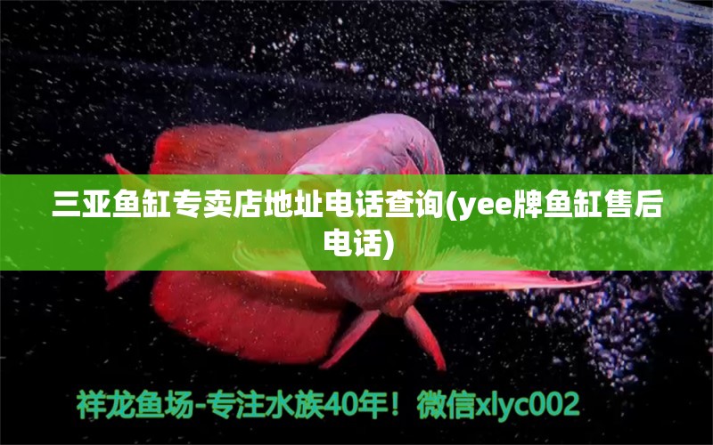 三亚鱼缸专卖店地址电话查询(yee牌鱼缸售后电话) yee