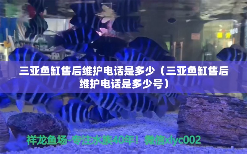 三亚鱼缸售后维护电话是多少（三亚鱼缸售后维护电话是多少号）