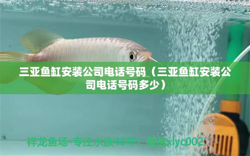 三亚鱼缸安装公司电话号码（三亚鱼缸安装公司电话号码多少）