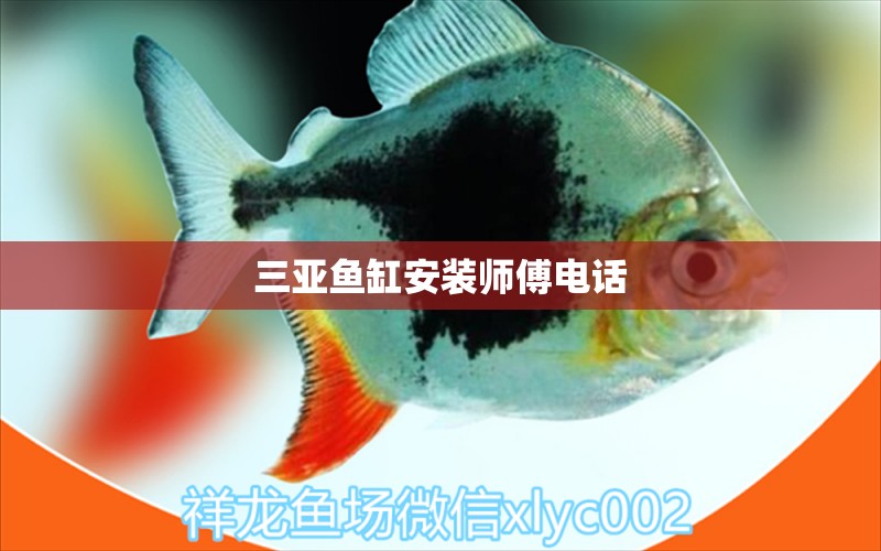 三亚鱼缸安装师傅电话