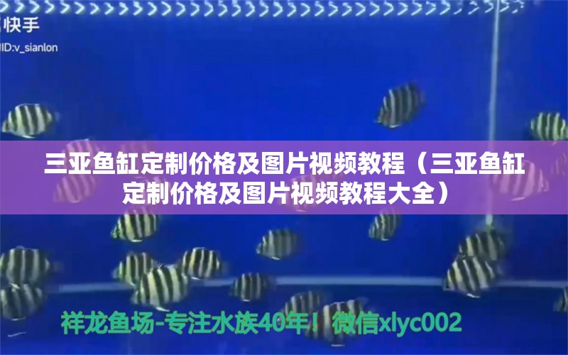 三亚鱼缸定制价格及图片视频教程（三亚鱼缸定制价格及图片视频教程大全）