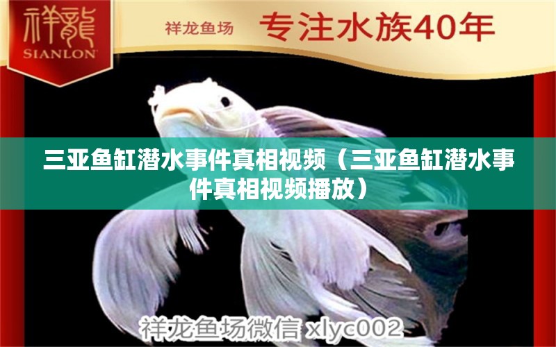 三亚鱼缸潜水事件真相视频（三亚鱼缸潜水事件真相视频播放） 观赏鱼市场（混养鱼）