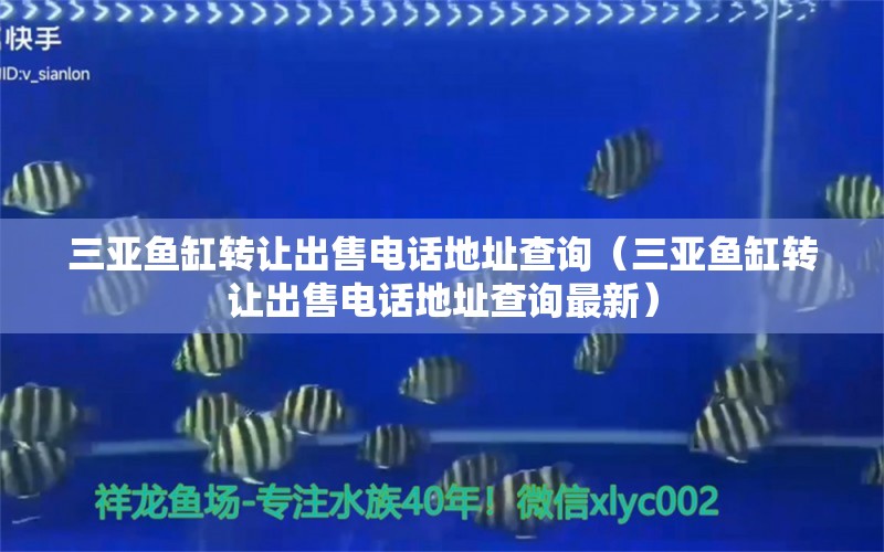 三亚鱼缸转让出售电话地址查询（三亚鱼缸转让出售电话地址查询最新） 祥龙水族医院