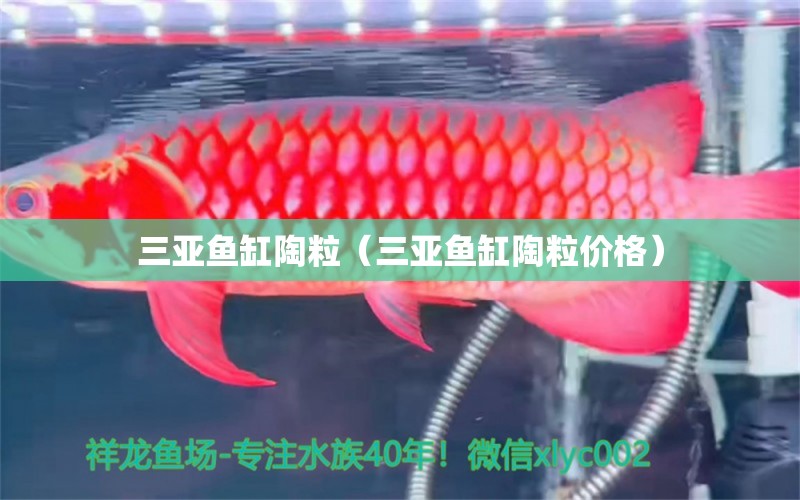 三亚鱼缸陶粒（三亚鱼缸陶粒价格） 其他品牌鱼缸