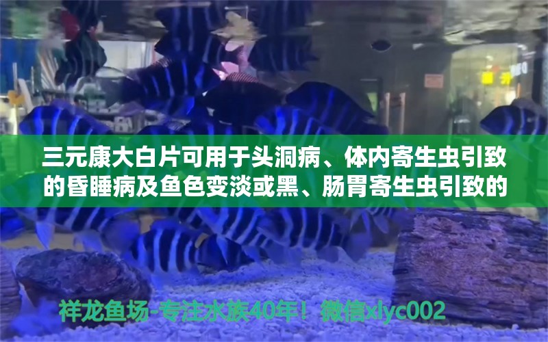 三元康大白片可用于头洞病、体内寄生虫引致的昏睡病及鱼色变淡或黑、肠胃寄生虫引致的胀肚症状