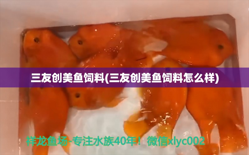 三友创美鱼饲料(三友创美鱼饲料怎么样) 铁甲武士