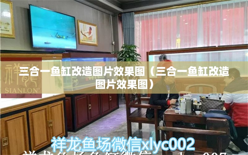 三合一鱼缸改造图片效果图（三合一鱼缸改造图片效果图） 广州龙鱼批发市场