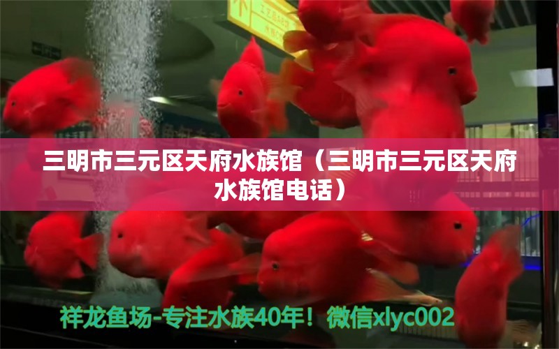 三明市三元区天府水族馆（三明市三元区天府水族馆电话）