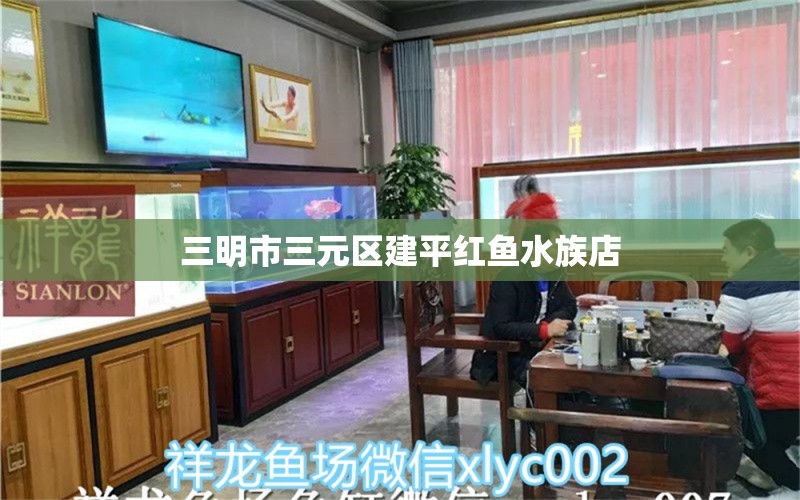 三明市三元区建平红鱼水族店 全国水族馆企业名录