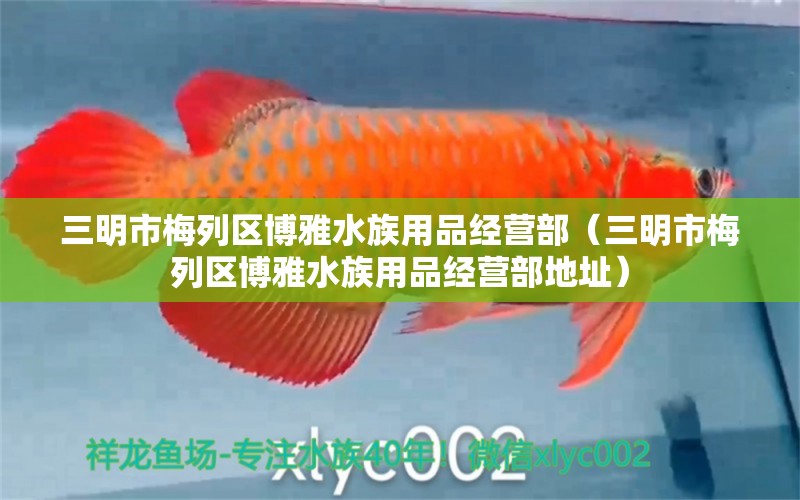 三明市梅列区博雅水族用品经营部（三明市梅列区博雅水族用品经营部地址）