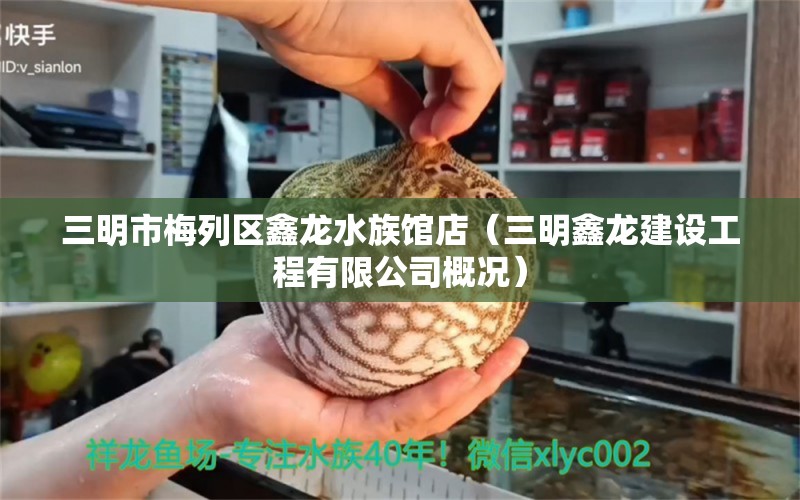 三明市梅列区鑫龙水族馆店（三明鑫龙建设工程有限公司概况） 全国水族馆企业名录