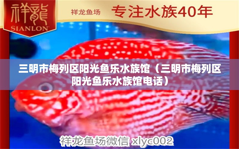 三明市梅列区阳光鱼乐水族馆（三明市梅列区阳光鱼乐水族馆电话）