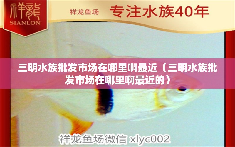 三明水族批发市场在哪里啊最近（三明水族批发市场在哪里啊最近的）