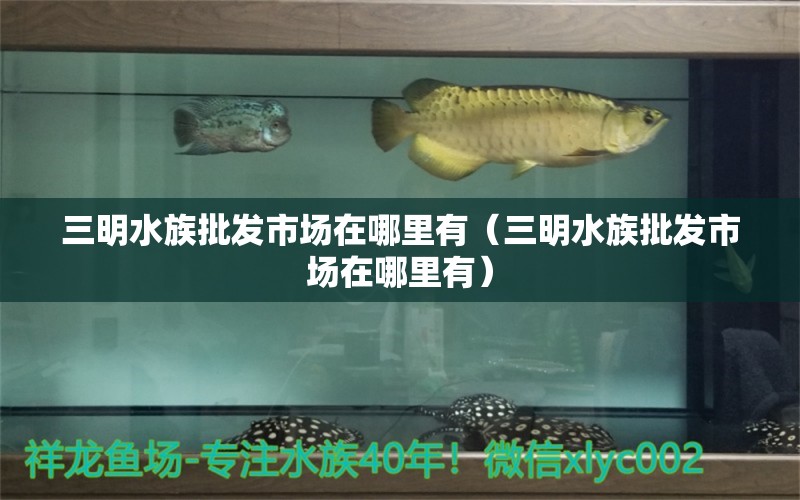 三明水族批发市场在哪里有（三明水族批发市场在哪里有）