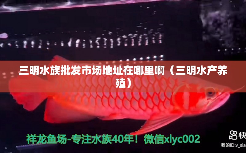 三明水族批发市场地址在哪里啊（三明水产养殖）