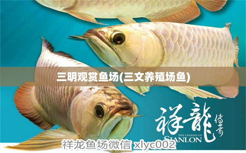 三明观赏鱼场(三文养殖场鱼) 水族灯（鱼缸灯）