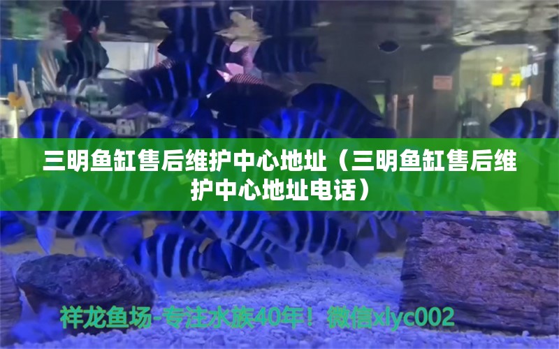 三明鱼缸售后维护中心地址（三明鱼缸售后维护中心地址电话）