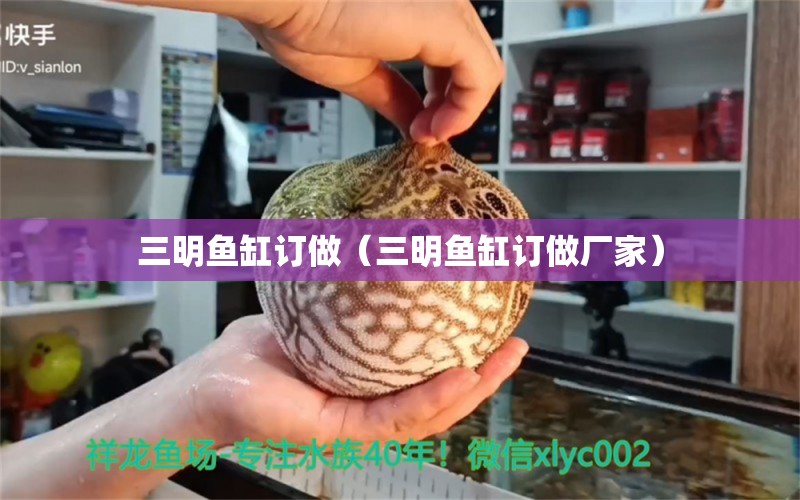 三明鱼缸订做（三明鱼缸订做厂家）