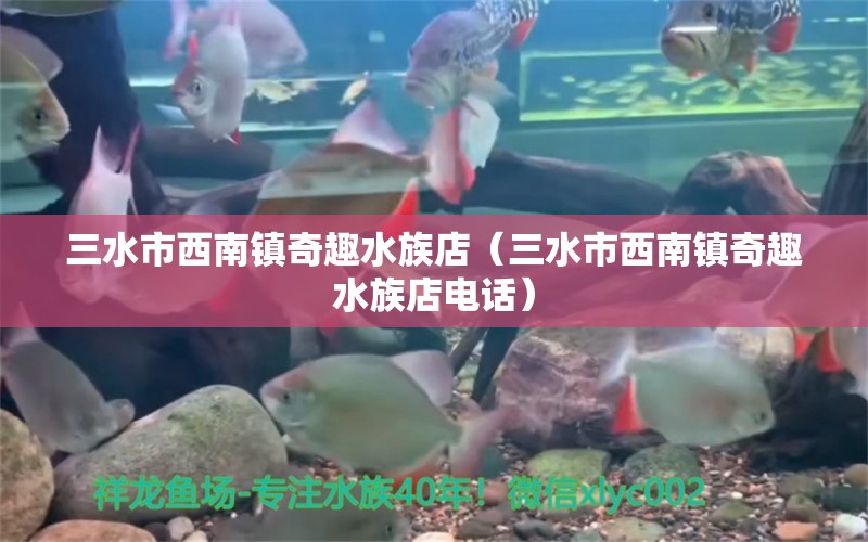 三水市西南镇奇趣水族店（三水市西南镇奇趣水族店电话）