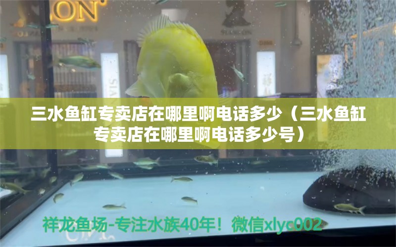 三水鱼缸专卖店在哪里啊电话多少（三水鱼缸专卖店在哪里啊电话多少号） 祥龙水族医院