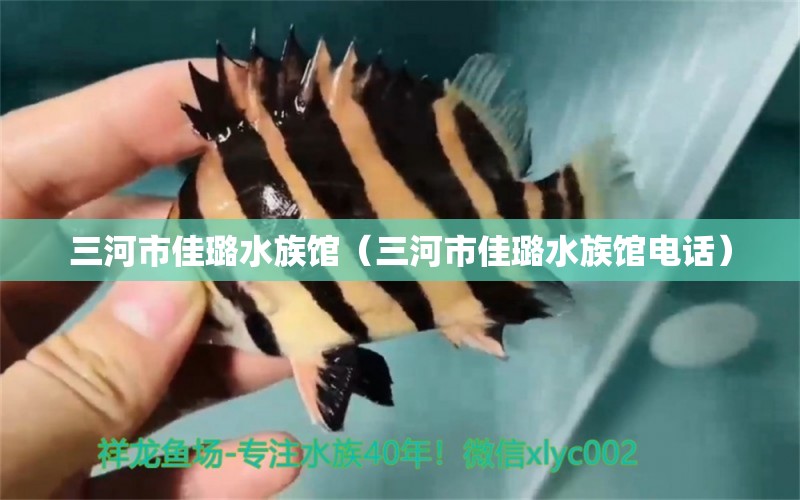 三河市佳璐水族馆（三河市佳璐水族馆电话） 全国水族馆企业名录