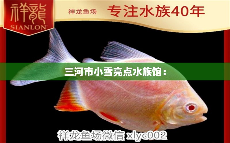 三河市小雪亮点水族馆： 全国水族馆企业名录