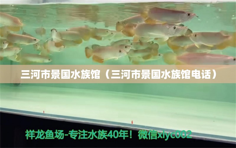 三河市景国水族馆（三河市景国水族馆电话） 全国水族馆企业名录