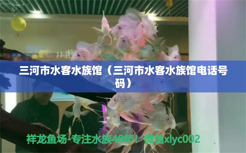 三河市水客水族馆（三河市水客水族馆电话号码） 全国水族馆企业名录