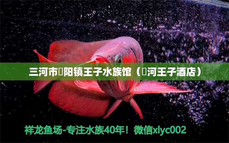 三河市泃阳镇王子水族馆（浉河王子酒店）