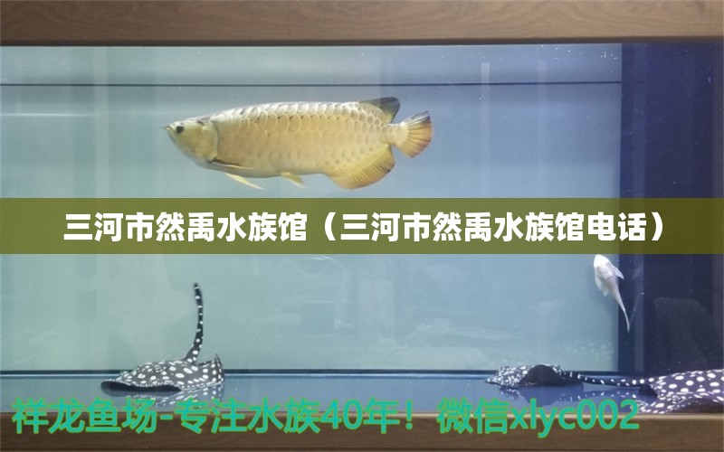 三河市然禹水族馆（三河市然禹水族馆电话） 全国水族馆企业名录