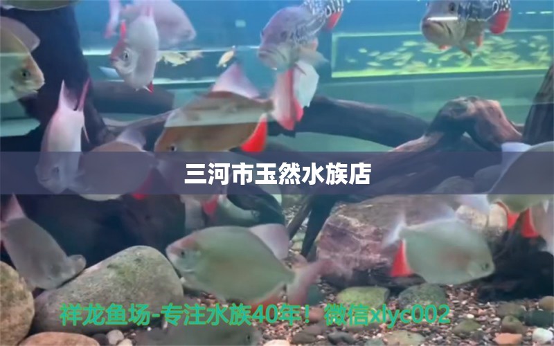 三河市玉然水族店