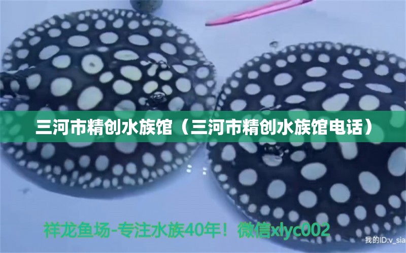 三河市精创水族馆（三河市精创水族馆电话） 全国水族馆企业名录