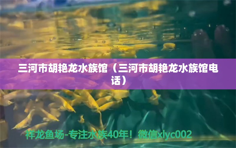 三河市胡艳龙水族馆（三河市胡艳龙水族馆电话）