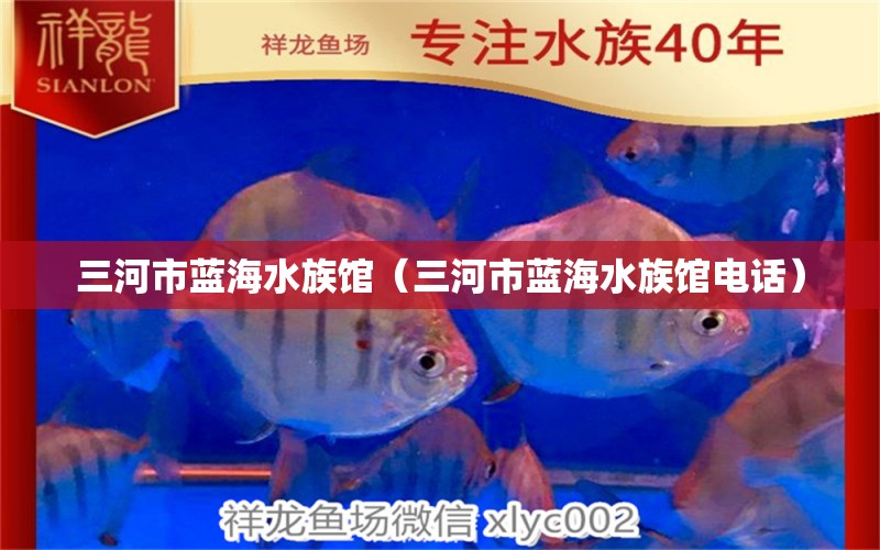 三河市蓝海水族馆（三河市蓝海水族馆电话） 全国水族馆企业名录