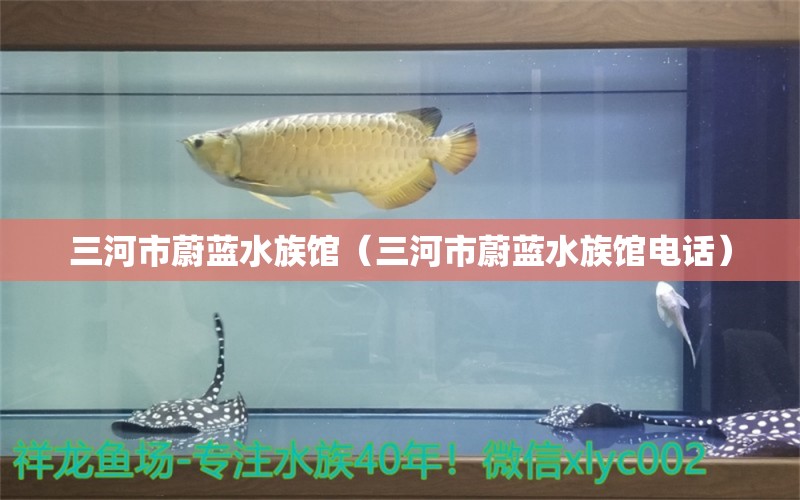 三河市蔚蓝水族馆（三河市蔚蓝水族馆电话）