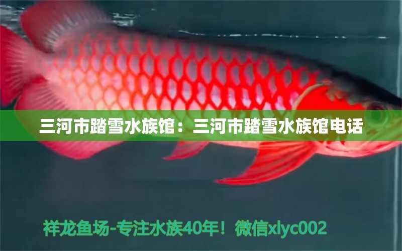 三河市踏雪水族馆：三河市踏雪水族馆电话 全国水族馆企业名录