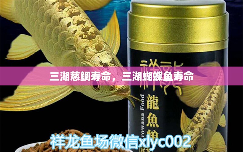 三湖慈鲷寿命，三湖蝴蝶鱼寿命