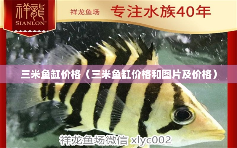 三米鱼缸价格（三米鱼缸价格和图片及价格）
