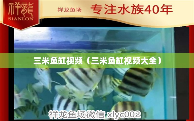 三米鱼缸视频（三米鱼缸视频大全）