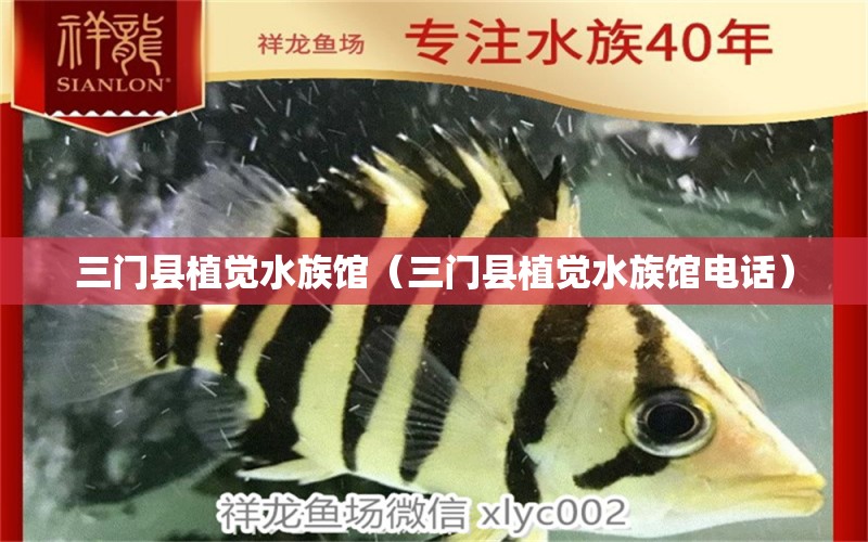 三门县植觉水族馆（三门县植觉水族馆电话）