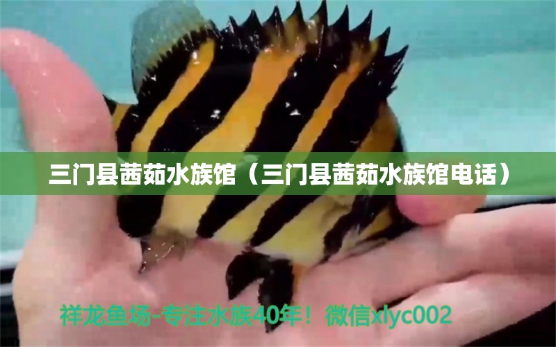 三门县茜茹水族馆（三门县茜茹水族馆电话） 全国水族馆企业名录