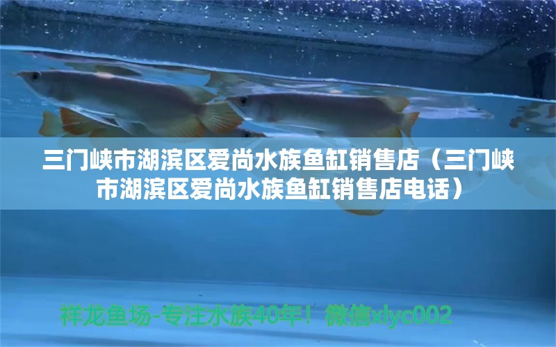 三门峡市湖滨区爱尚水族鱼缸销售店（三门峡市湖滨区爱尚水族鱼缸销售店电话） 全国水族馆企业名录