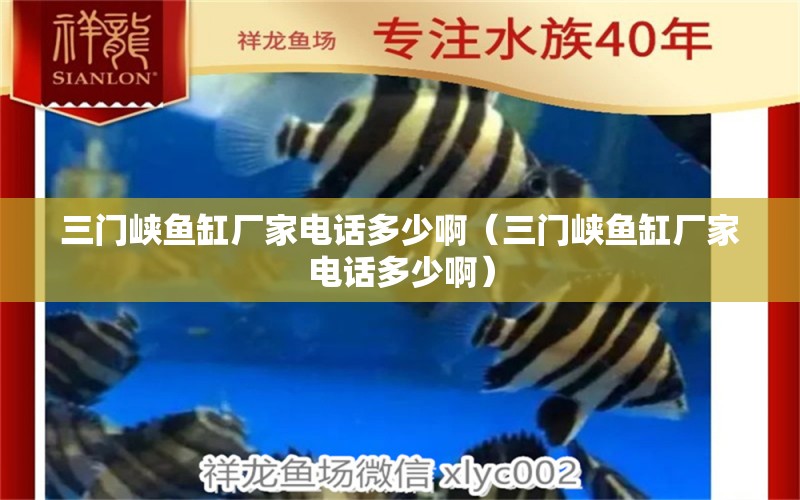 三门峡鱼缸厂家电话多少啊（三门峡鱼缸厂家电话多少啊）