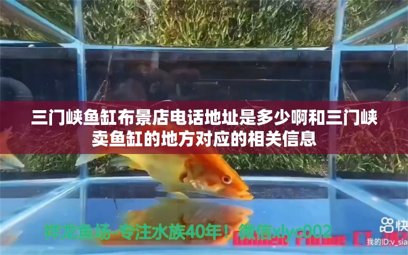 三门峡鱼缸布景店电话地址是多少啊和三门峡卖鱼缸的地方对应的相关信息