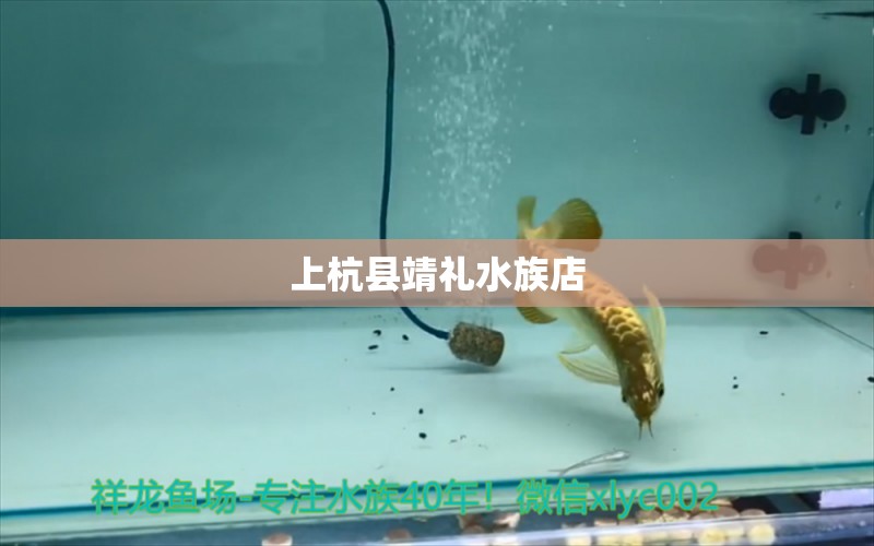 上杭县靖礼水族店